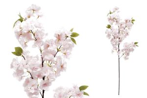 Jabloň květy, velikost 100 cm. | bílá, růžová, světle růžová