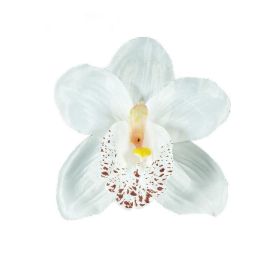 Orchidea vazbová, velikost 12cm. | bílá, fialová, krémovorůžová, žlutočervená